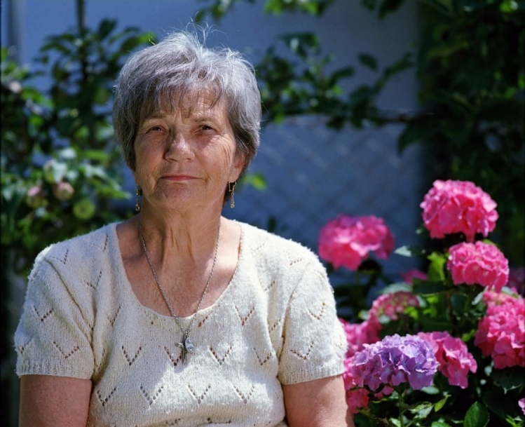 LE CAUSE DELL' ALZHEIMER 